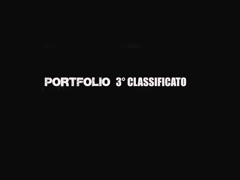 portfolio 3.jpg